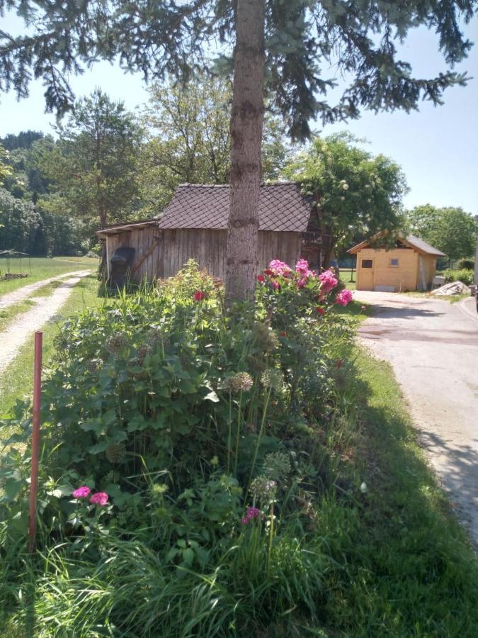 Villa Hiska Zeleni Raj Podnart Exterior foto